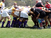 AM NA USA CA SanDiego 2005MAY18 GO v ColoradoOlPokes 133 : 2005, 2005 San Diego Golden Oldies, Americas, California, Colorado Ol Pokes, Date, Golden Oldies Rugby Union, May, Month, North America, Places, Rugby Union, San Diego, Sports, Teams, USA, Year